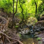 Butterflies Valley Rhodes forest path Petaloudes nature park Greece
